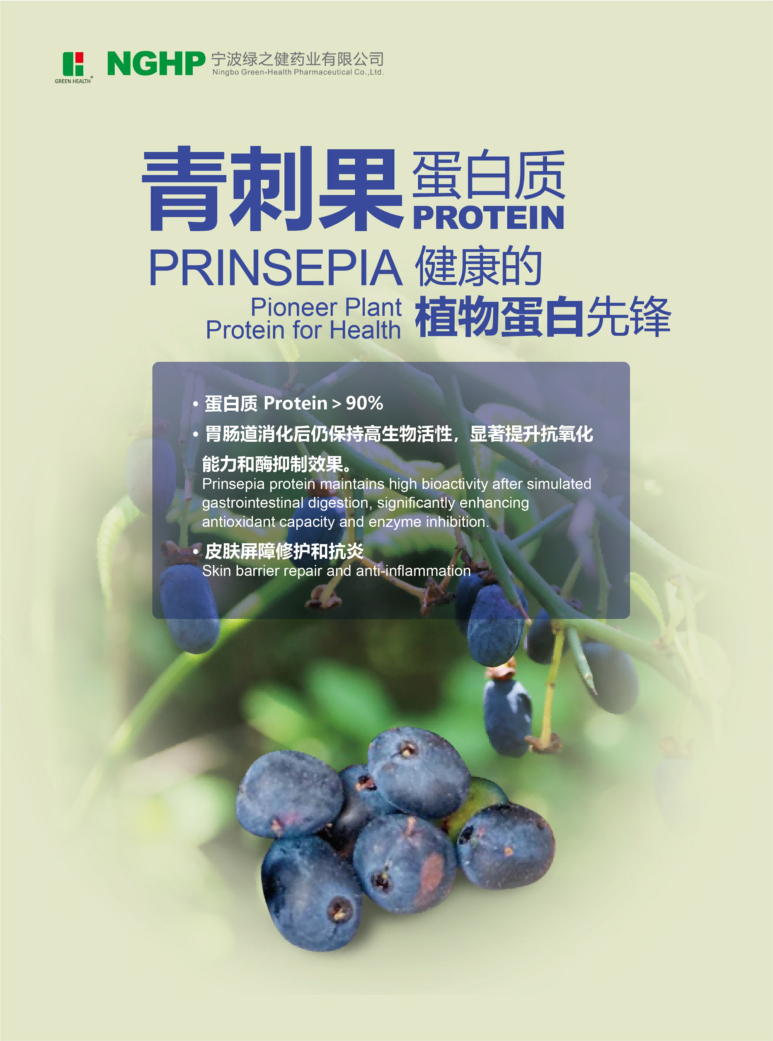 Prinsepia